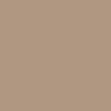 Beige café latté RAL 1019